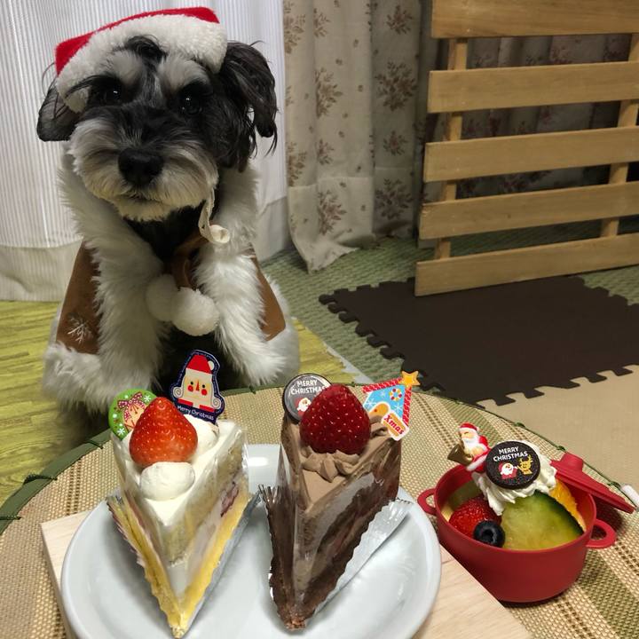 B5de8900 08c2 454b ac4f 1640e58ffe78 1703415330543