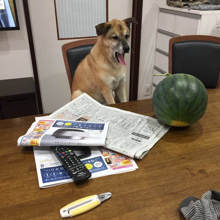 B5dea294 0e49 42b7 8796 2b60c6260490 1533599883422