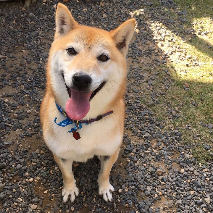 B5deb720 0836 4dd7 99d2 d2d5000d295e 1573993467493