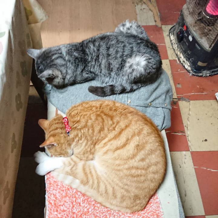 B5dec4af 2464 4dbb b2fa c4af602f4882 1577699073649