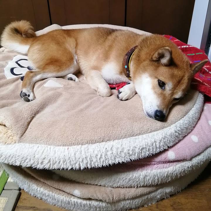 B5ded300 71dd 471d b8b4 3f868c3ff212 1634217549230