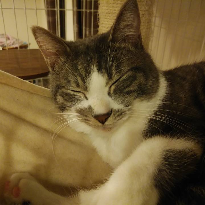 B5def4a7 bd9f 4cc5 8db9 46bbbd8121f7 1579524304499