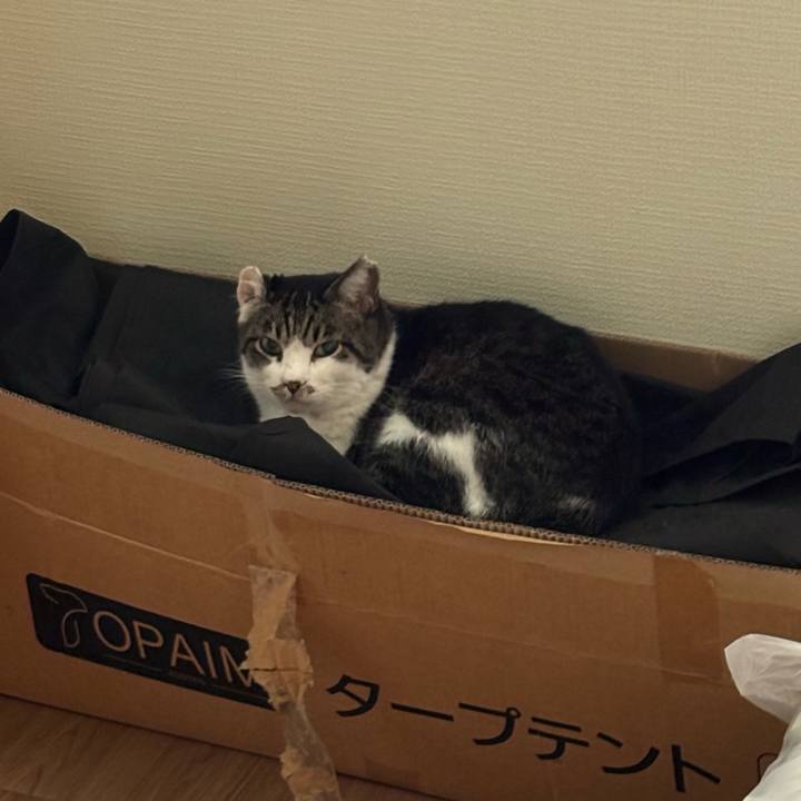 B5df253a 794d 43c5 aa8f ad7417c4316a 1760957329250