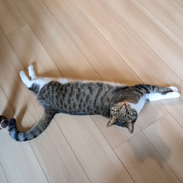 B5df295c 3e97 4ad3 b418 ac2189770a09 1690843679015