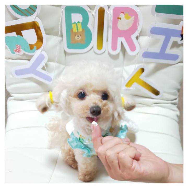 B5df36a9 4c85 411d afc2 59439a5fd2a9 1724489532930