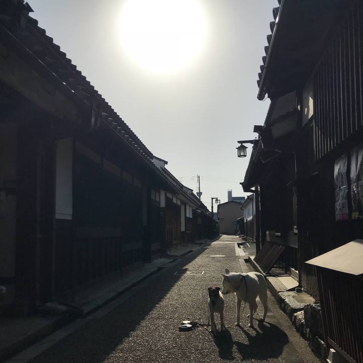 B5df42b3 286d 4c47 b603 b5d9b836264e 1527374527138