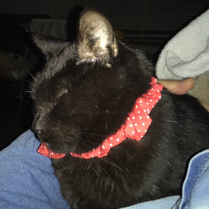 B5df56f4 41b5 4b8c b201 06025518ff4b 1551992821090