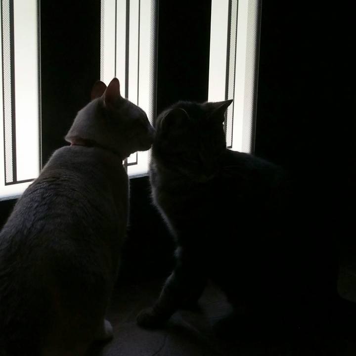 B5df5ea6 41b8 4bd6 bffa cdeef502c8cc 1525233413180