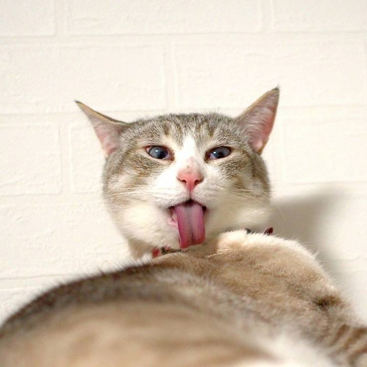 B5df75e2 1795 485e 8ebf 93e53f9ffbbf 1556545216891