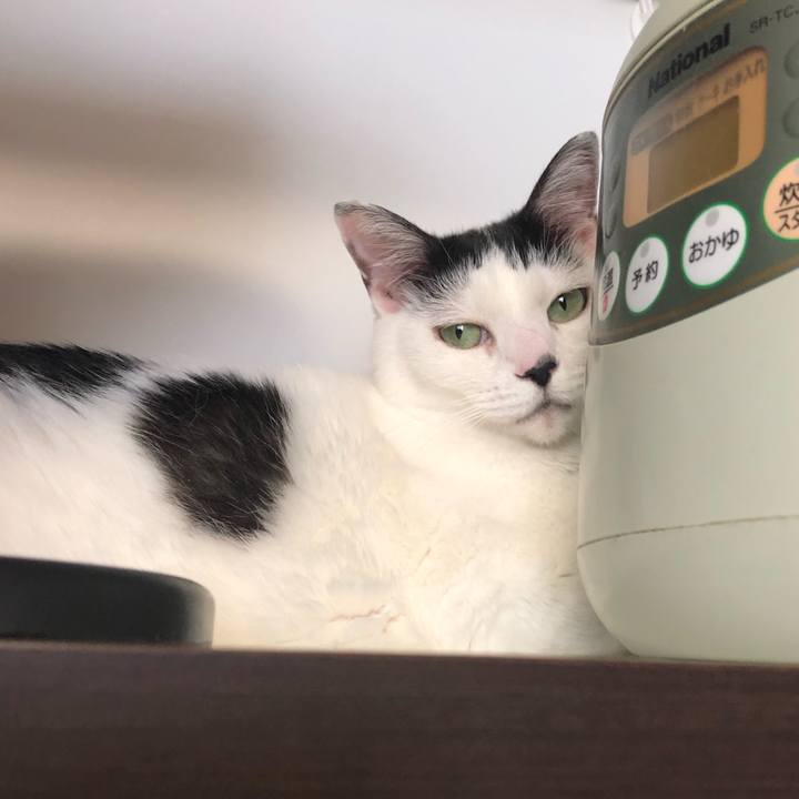 B5df8ea0 5d84 46dc ab46 21a0dcd6e56e 1600385285423