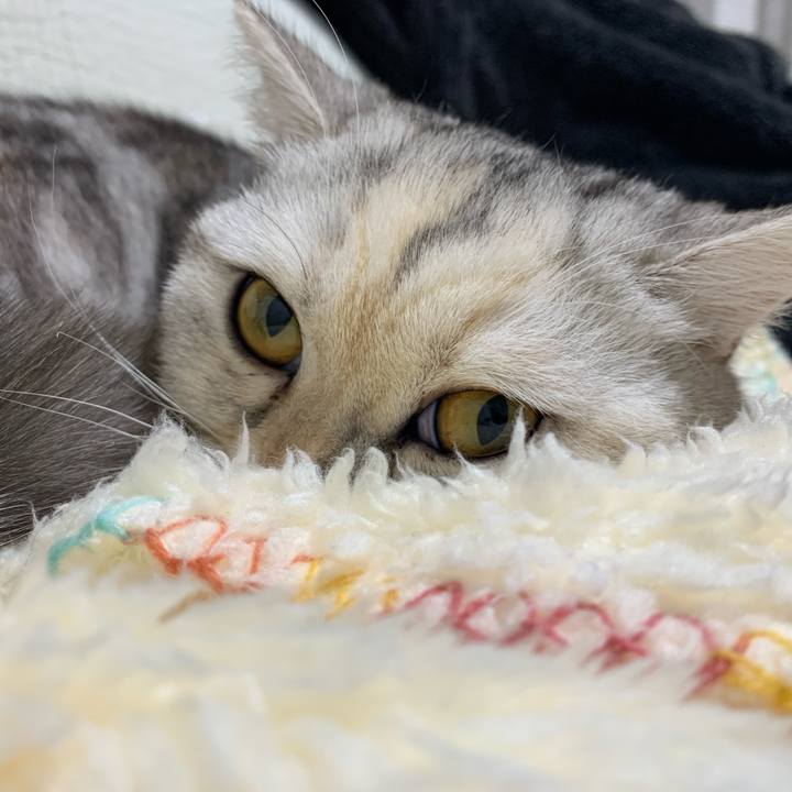 B5dfcaec d216 4568 afe8 6faff99e688f 1707574965570