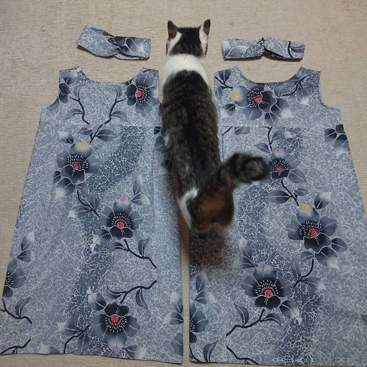 B5e0230b 485a 4995 82d8 89a48eac64d2 1662336146770