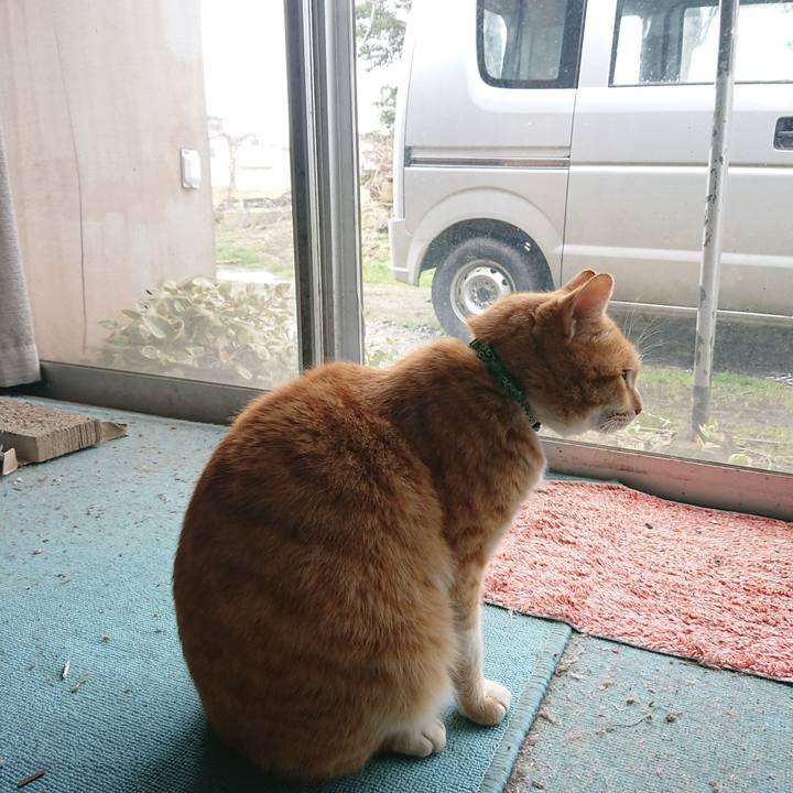 B5e039a0 2bc7 4e37 b90e 68bd6d913280 1584676233176