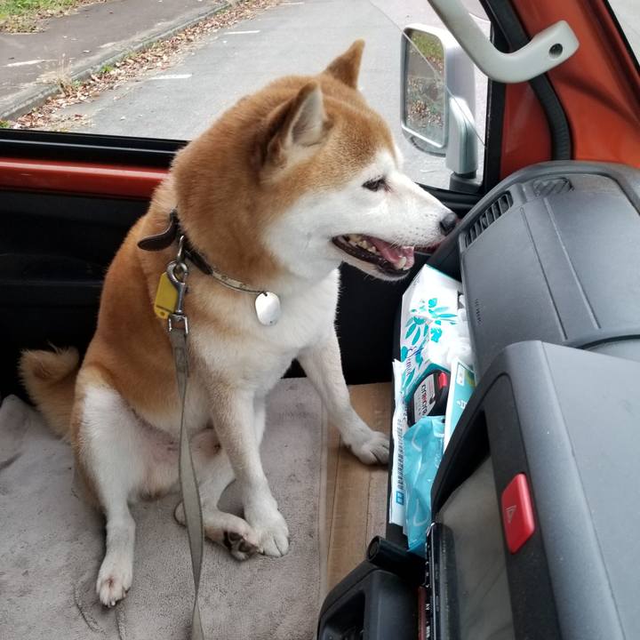 B5e05a9d 1a1b 49e9 9abd 75446faeb46d 1632988316165