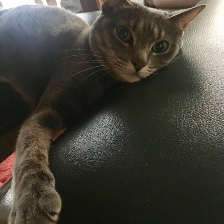 B5e06fdd 74d3 445d 8fa3 da8e93fc05d3 1550484654582