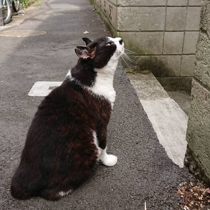 B5e08636 043c 4569 894f f592ddb5da40 1689984577575