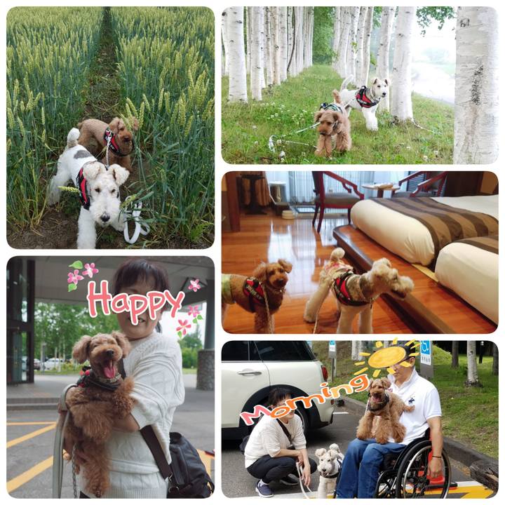 B5e0d918 d099 4353 9915 076c77ea25ed 1562421892984