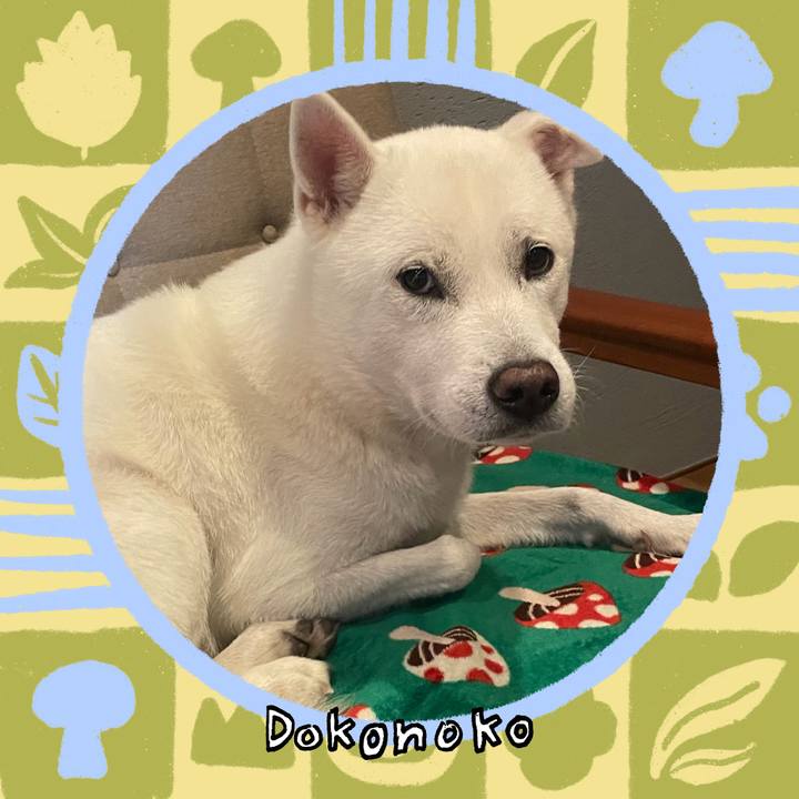 B5e0e5c4 8535 4d3a 8cf1 064d94a8dce7 1761135382672