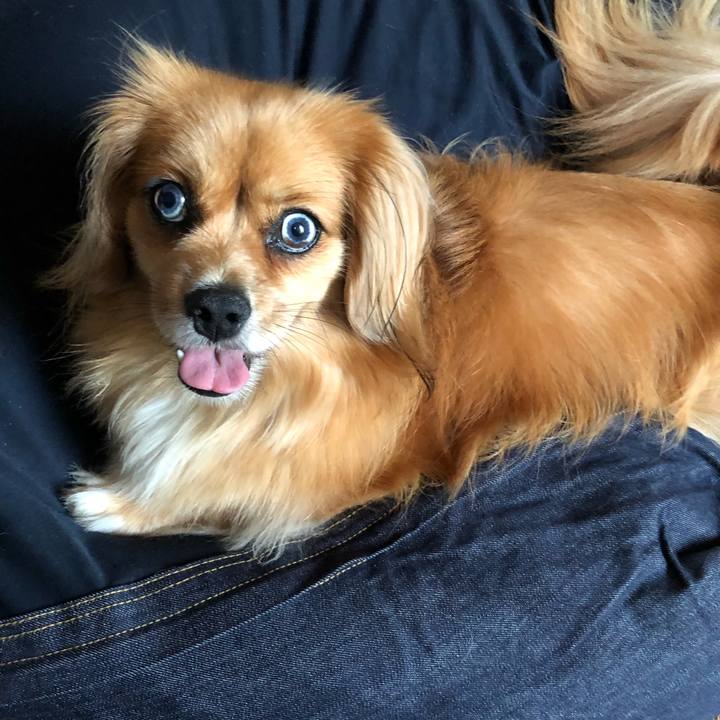 B5e0ef70 1d3c 4adc 8370 c8409b204248 1565560284246