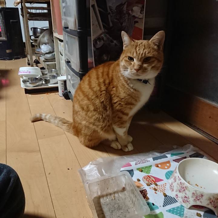 B5e10c87 aab5 4e9d b695 a14e6c32d8fc 1608754664242