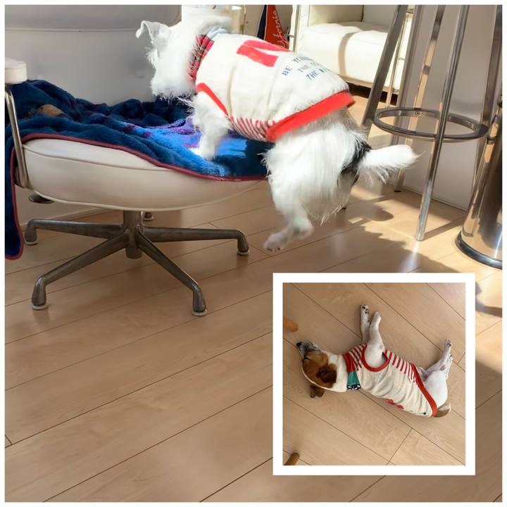 B5e12c6f b399 4821 bb6b e5cfee2d17de 1581911648995