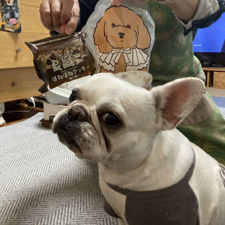 B5e144be 12f9 401a abf0 f92f55b1fa5d 1700275012670