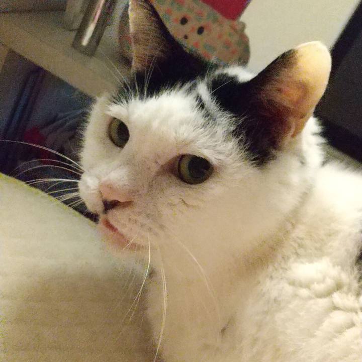 B5e15519 55d0 4144 aadd 76886b02f981 1679555101093