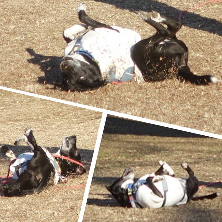 B5e16277 a553 417c ae5a fee06dc951b2 1706749278176