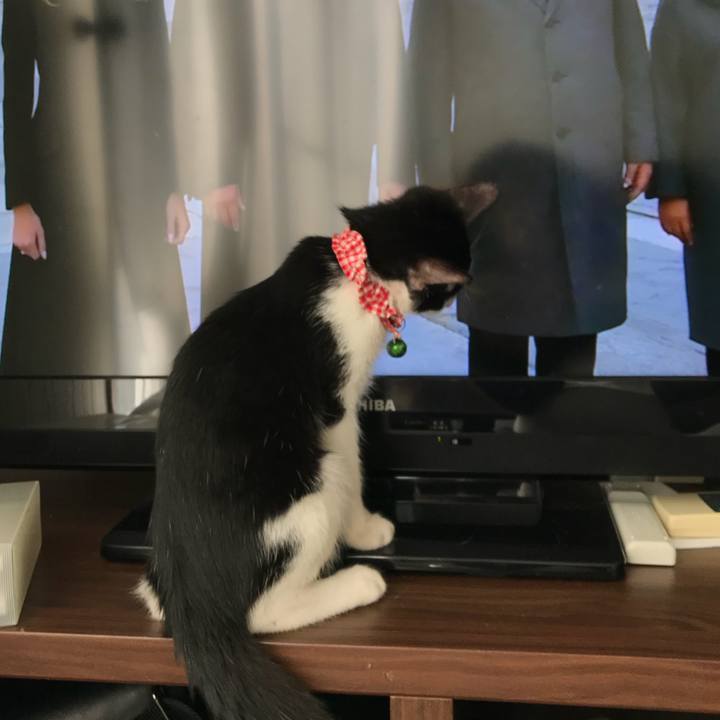 B5e17ce5 9958 40d0 83c0 8ac107178ecf 1510193829025