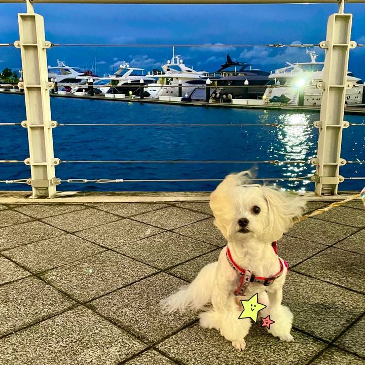 B5e1a097 c3e5 45f4 8468 677ce04c9f36 1634459845324