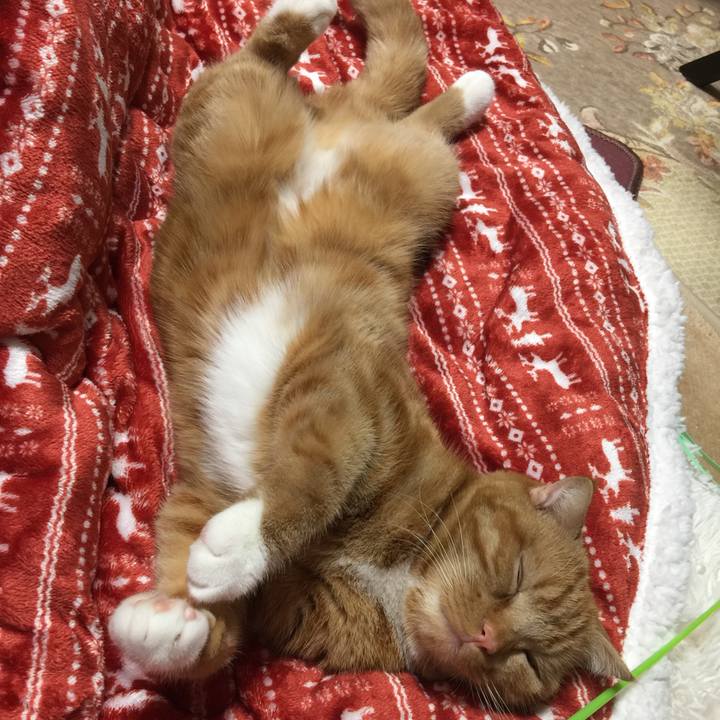 B5e1a5d6 951d 41e1 856e 8f3a1e7c78e0 1515629801740