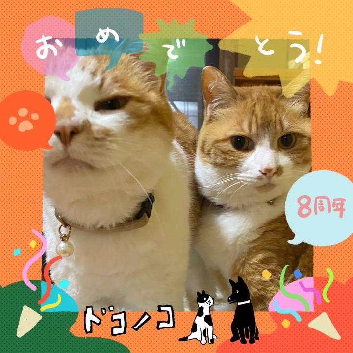 B5e1b470 96b1 4a63 bf65 1c7293bf380a 1717555664146