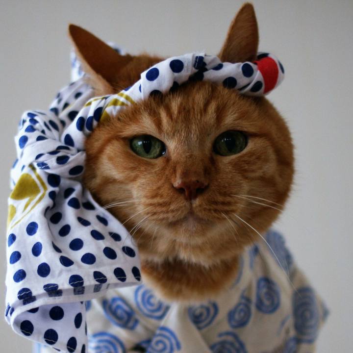 B5e1e1a3 8a3a 4905 8457 a6aad837fc25 1530370557550