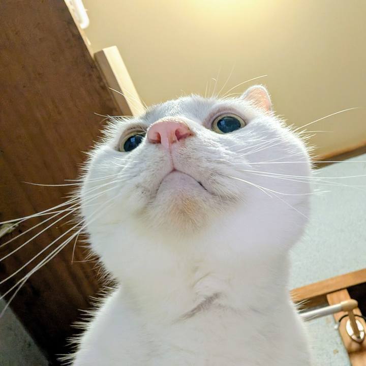 B5e1e492 dd20 4580 8be1 8ce495cc7731 1759909765408