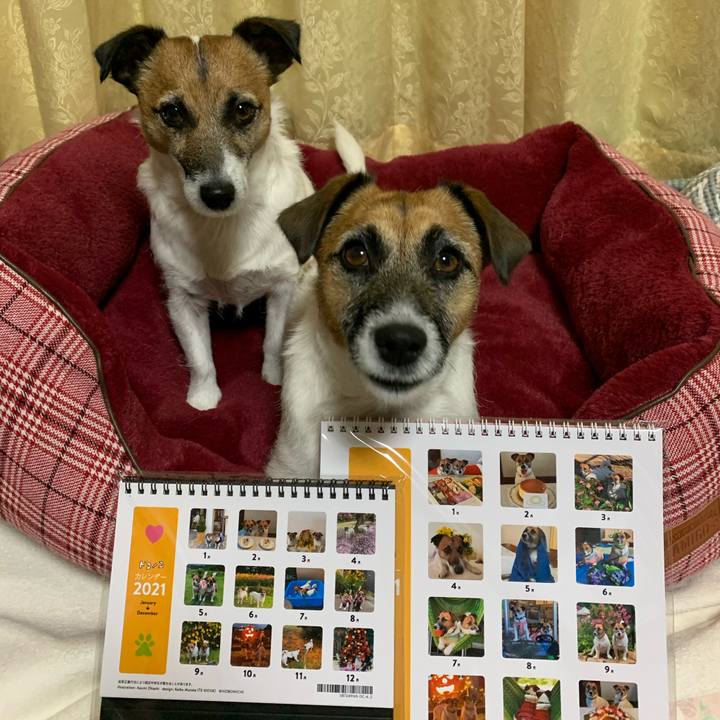 B5e1e705 62ba 4618 ae93 3430dfadb4a8 1605885125680