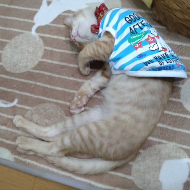 B5e2115f 74db 400b ab48 8ab30e868dfe 1671705160604