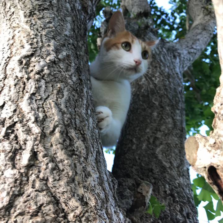 B5e21e0b 32b9 4804 855c 8dc077e33d07 1536649181210