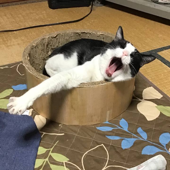 B5e2699a 2114 4674 b42c 2eb87349596c 1743332871764