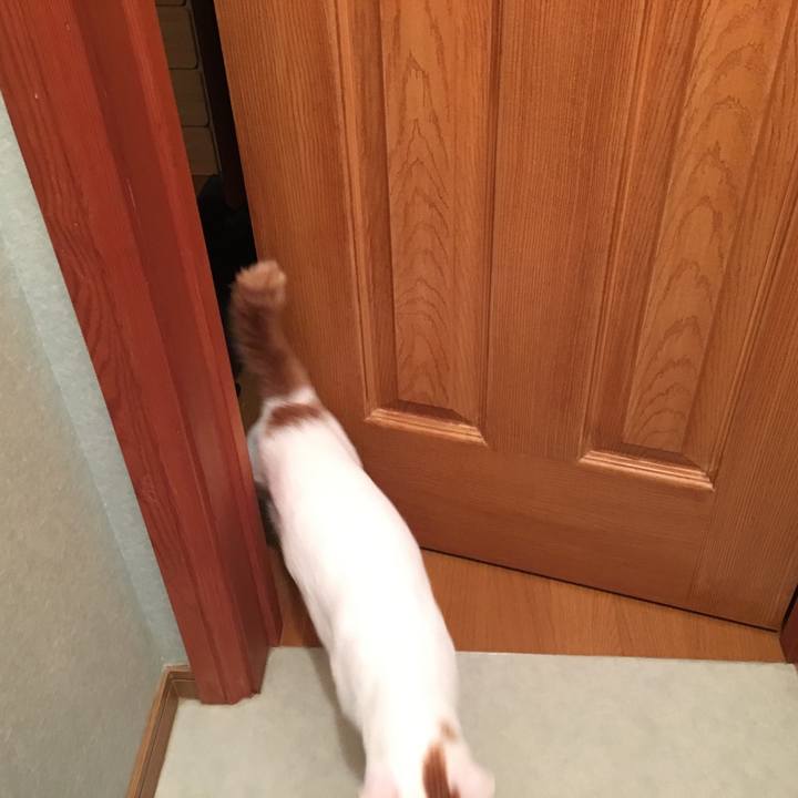 B5e27bb6 4628 49cb ae4d e0eabf25ee83 1516073212359