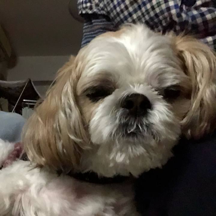 B5e27d09 0a80 466d 9414 8972313718f3 1542318470907