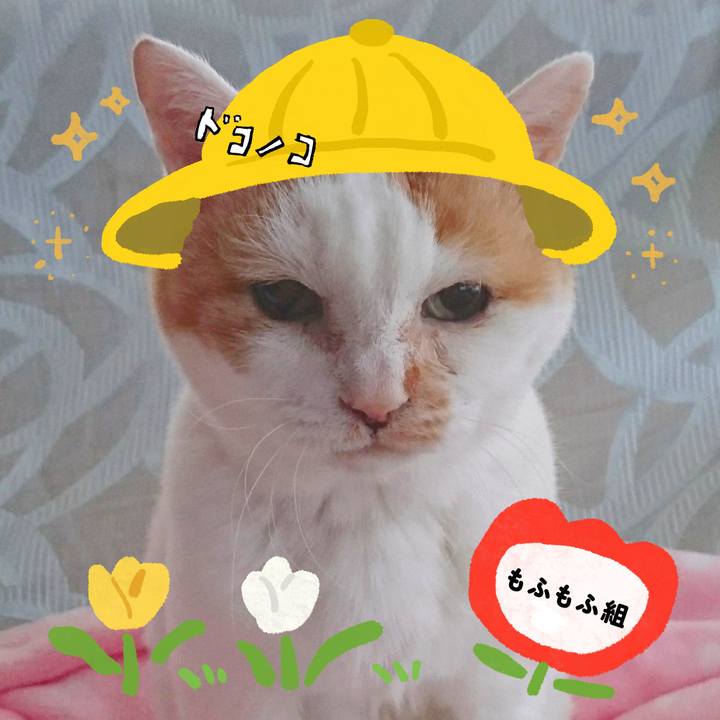 B5e27df6 78d9 4f3e a38d c5a4e45feb7f 1712235513590