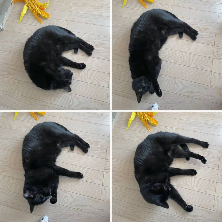 B5e299c2 5af2 4f94 8744 cd0ab9d6dc12 1703825647029