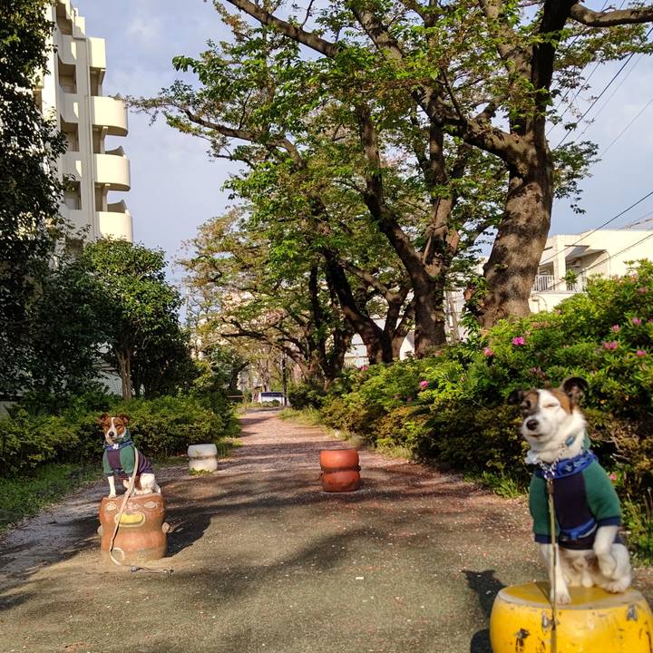 B5e2d635 67dd 4e02 b7dc 82f9d449bef0 1617746671839