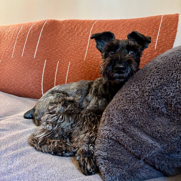 B5e2e246 4918 4c9d 9565 189f79451ba5 1744766309158