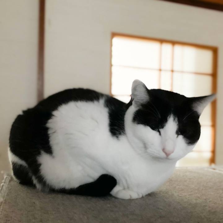 B5e30424 4e8f 4cb1 a1a3 08a5990699f7 1582163017888