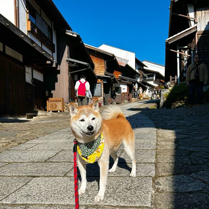 B5e33f0e bfdb 4dbc 89ba 320bc87ee2a5 1763629630136