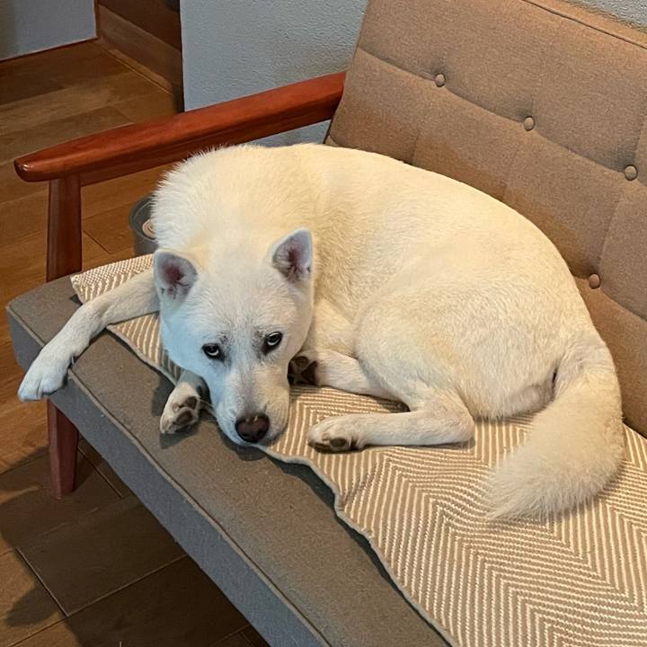 B5e3419b 04a1 4ad4 b31e 4bd17efc9c60 1654252756087