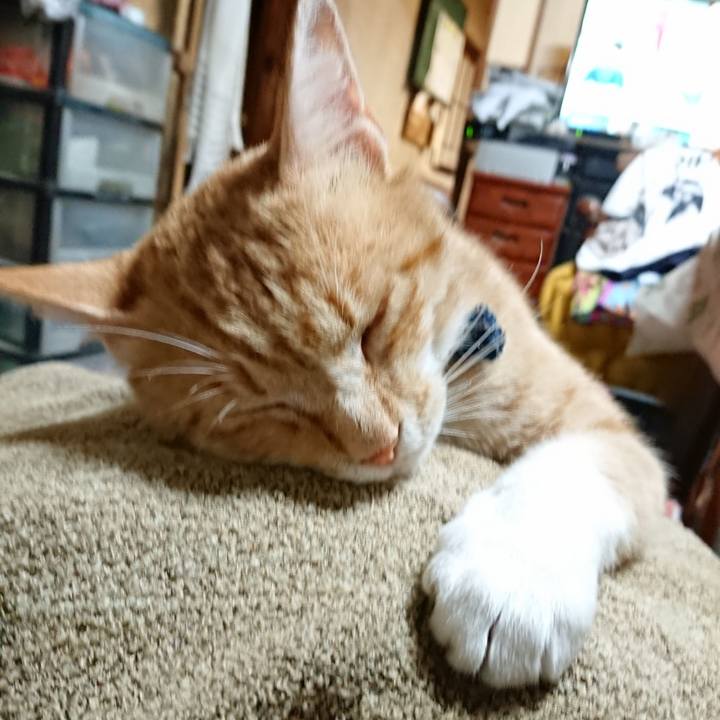 B5e34703 2079 4b2b 8699 12a1ae6e7b21 1560943367976