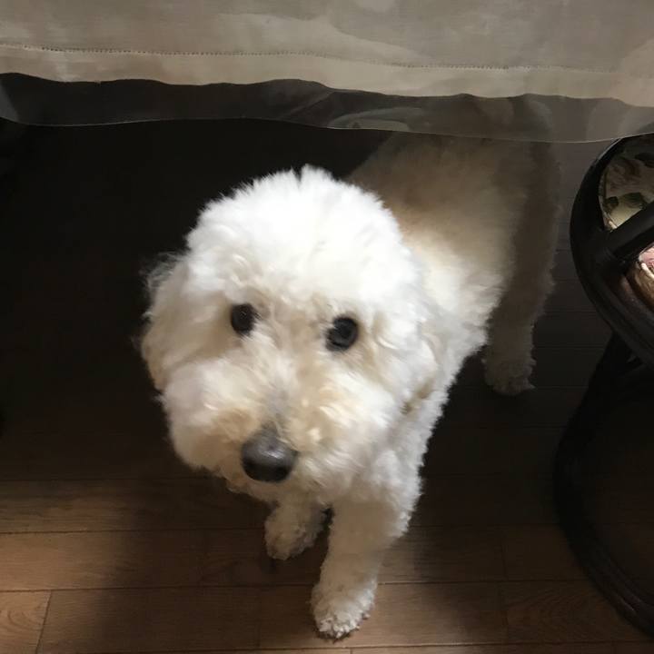 B5e35c31 3757 4647 85ba 717f4efc0e50 1648524841058