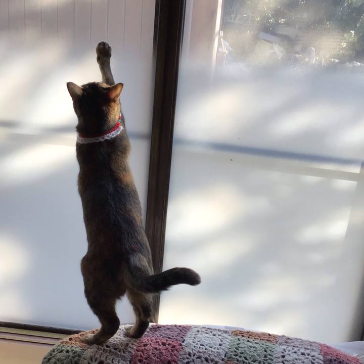 B5e376cb ad19 4fea 89d1 37fc48c67410 1609028502825